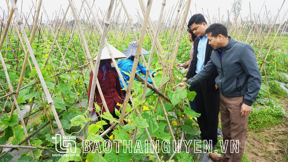 Nông dân “chạy đua” với vụ xuân