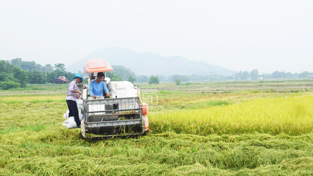 Cơ giới hóa nông nghiệp: Giảm chi phí, tăng lợi nhuận