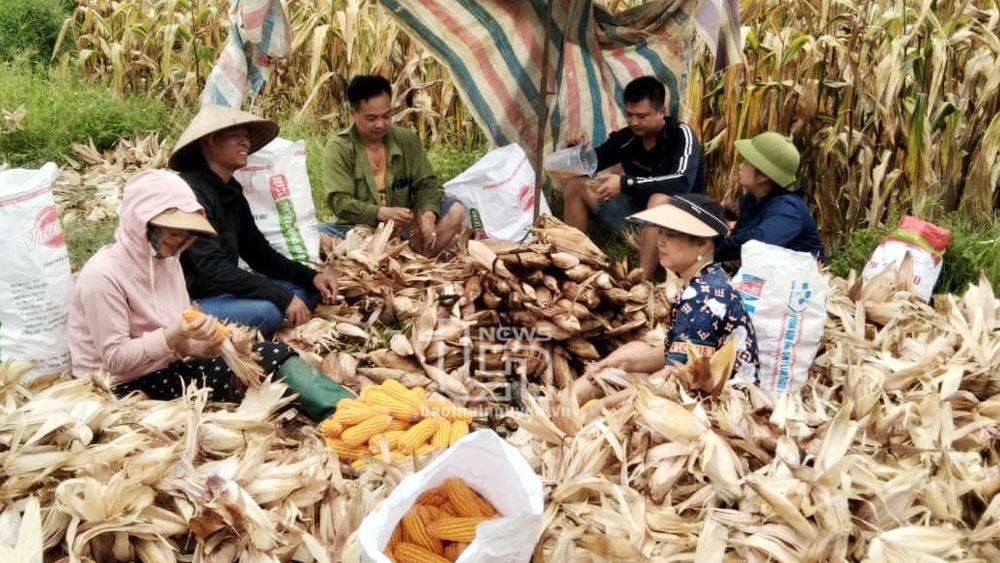 Giúp đồng bào có cuộc sống sung túc, hạnh phúc