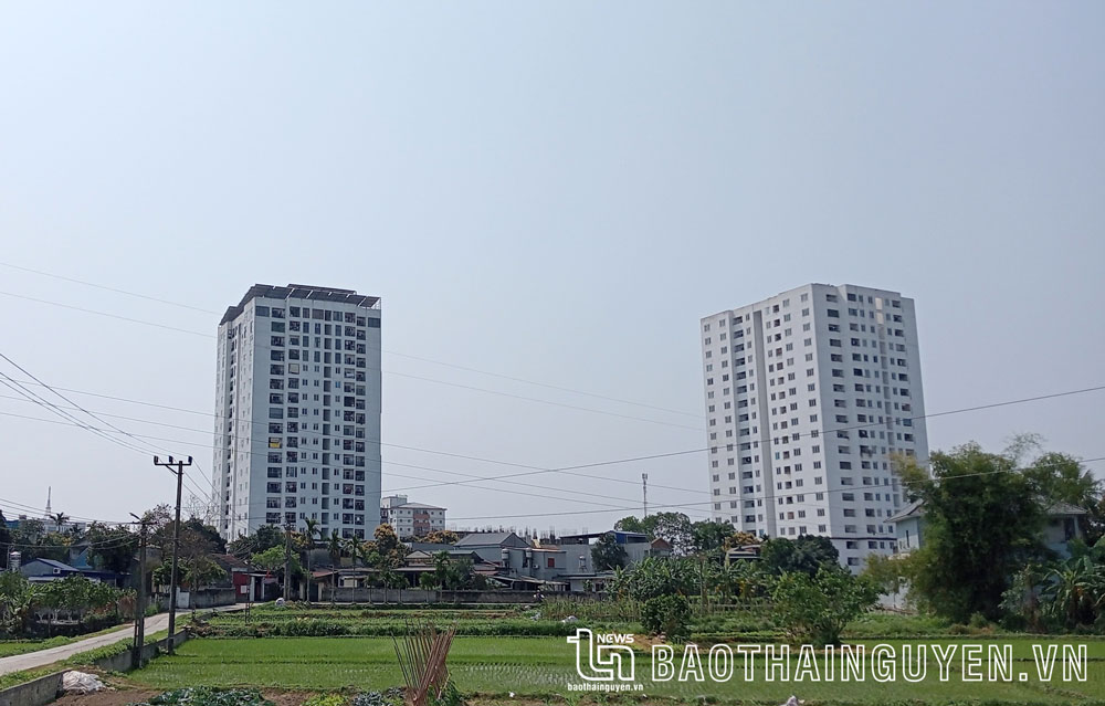 Công ty CP Tập đoàn Tiến Bộ: Nhiều sai phạm trên thị trường chứng khoán