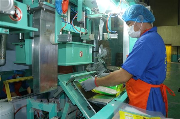 Thủ tướng: Chủ động điều tiết sản xuất, kinh doanh, xuất khẩu gạo