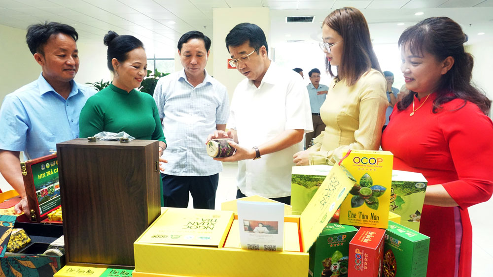 Thái Nguyên: Triển khai 121 dự án liên kết sản xuất