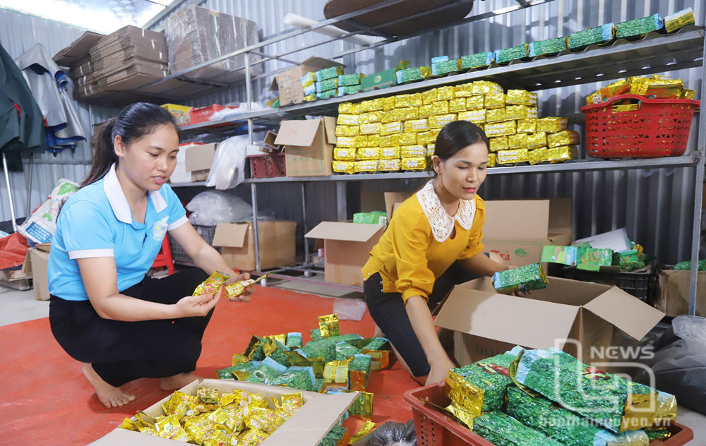 Tận tâm với công tác hội