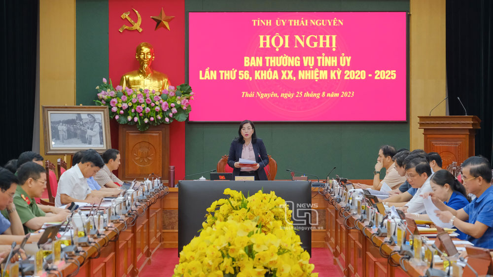 Ban Thường vụ Tỉnh ủy cho ý kiến vào nhiều nội dung kinh tế - xã hội