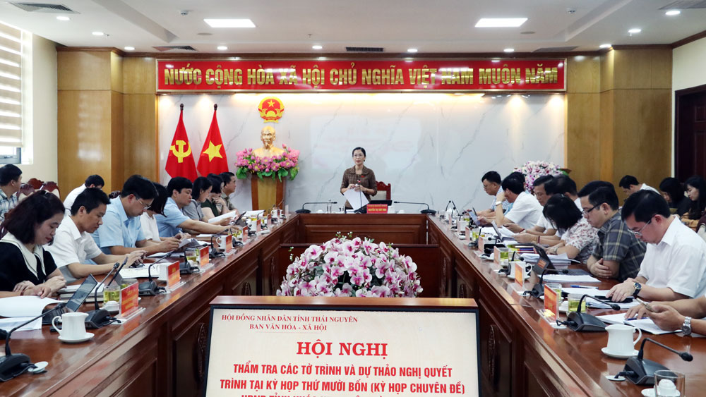 Thẩm tra một số nội dung thuộc lĩnh vực văn hóa - xã hội