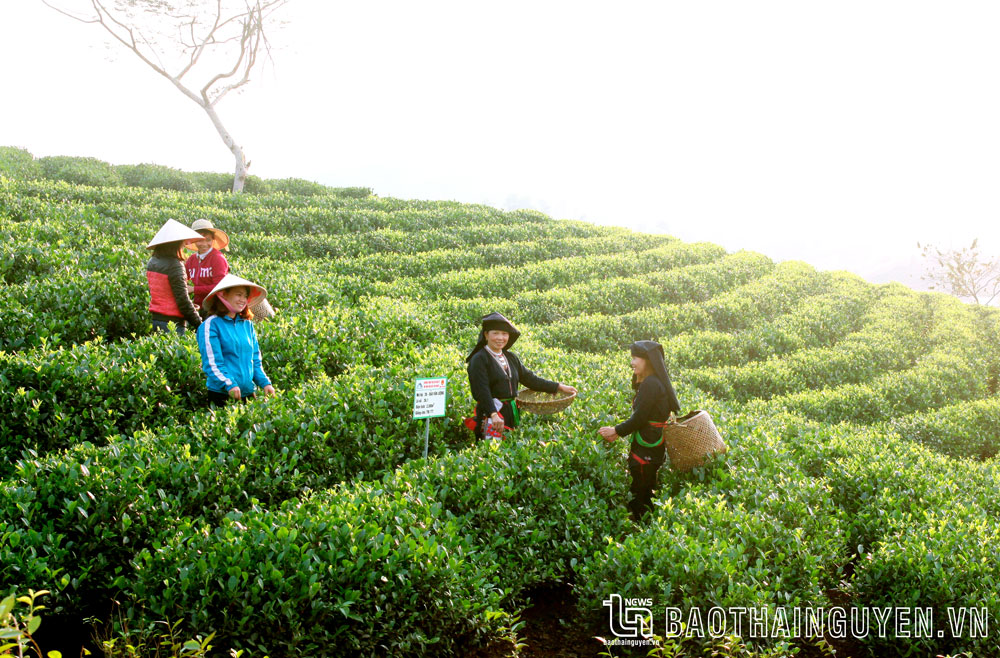 Đại Từ đánh thức tiềm năng du lịch