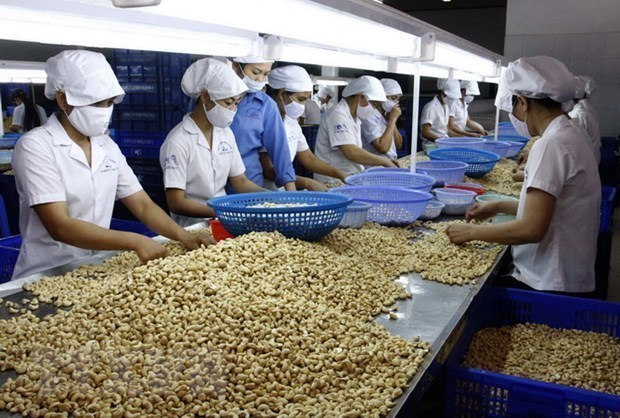 Nông sản Việt tham gia sâu hơn vào chuỗi cung ứng nông sản toàn cầu