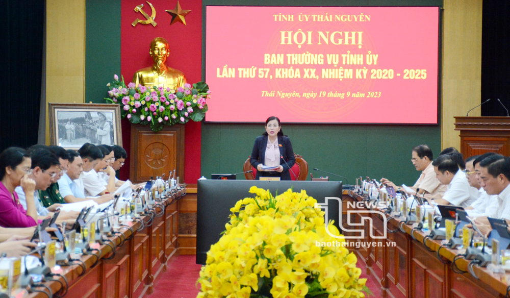 Ban Thường vụ Tỉnh ủy: Thảo luận, quyết định nhiều nội dung về phát triển kinh tế - xã hội