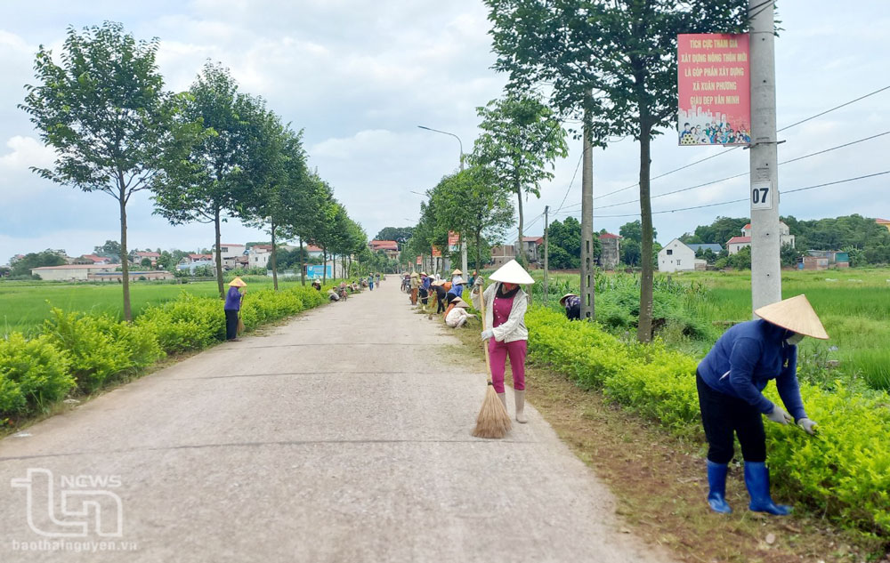 Để những tuyến đường mãi xanh