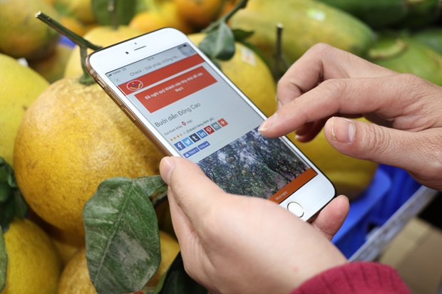 Đào tạo trực tiếp về chuyển đổi số cho hơn 10 nghìn doanh nghiệp