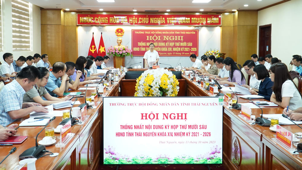 Thống nhất nội dung Kỳ họp thứ 16 của HĐND tỉnh