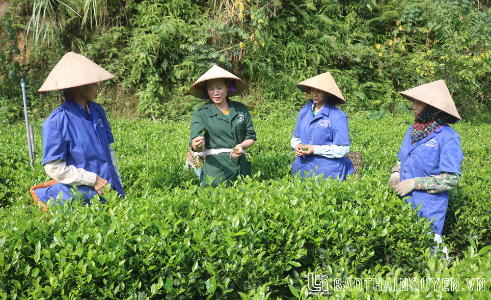 Nữ nhi đâu có thường tình