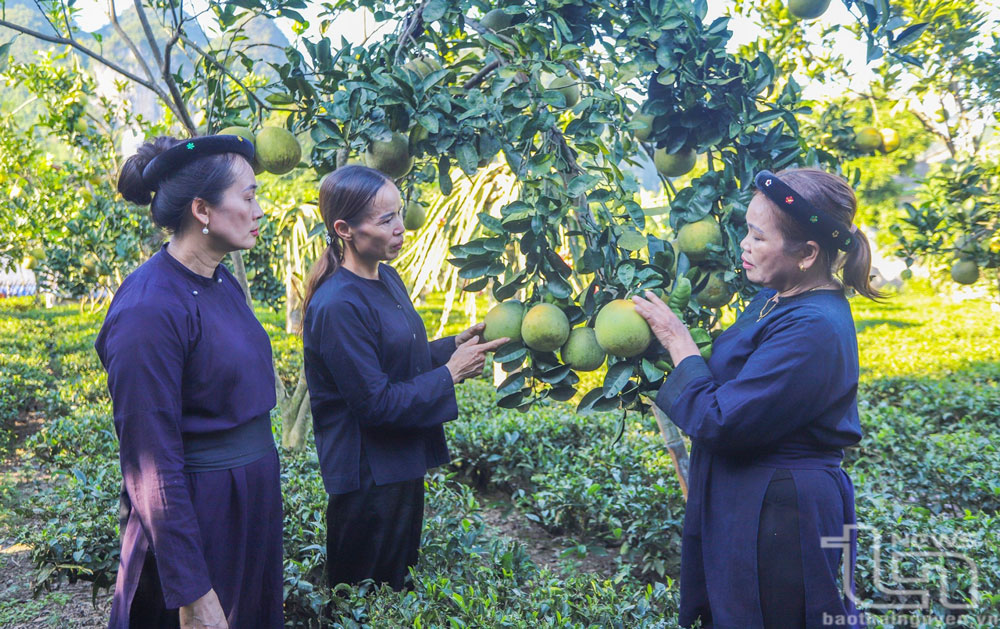 Những thủ lĩnh “thắp lửa” cho phong trào phụ nữ