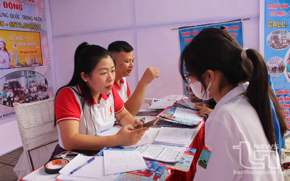 TP. Thái Nguyên: Trên 1.000 người tham gia Ngày hội việc làm năm 2023