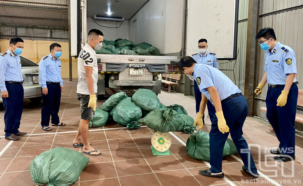 Xử lý vận chuyển hàng không rõ nguồn gốc: Bất cập nhìn từ vụ 2 tấn tai lợn 