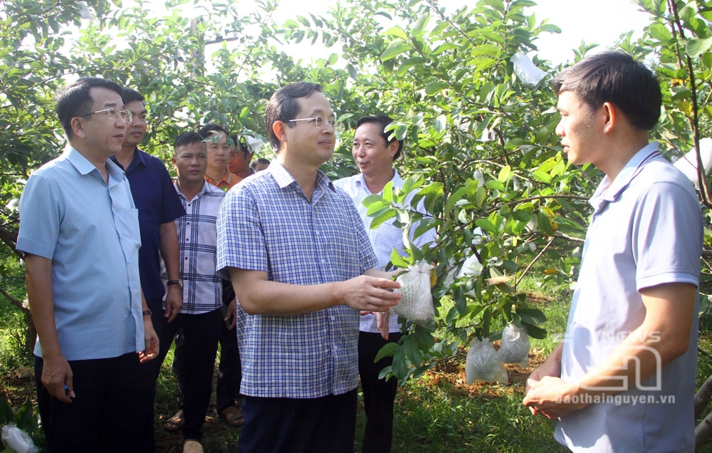 Sớm tháo gỡ khó khăn để người dân có điều kiện phát triển sản xuất