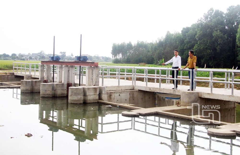 Đảm bảo đủ nước cho sản xuất nông nghiệp