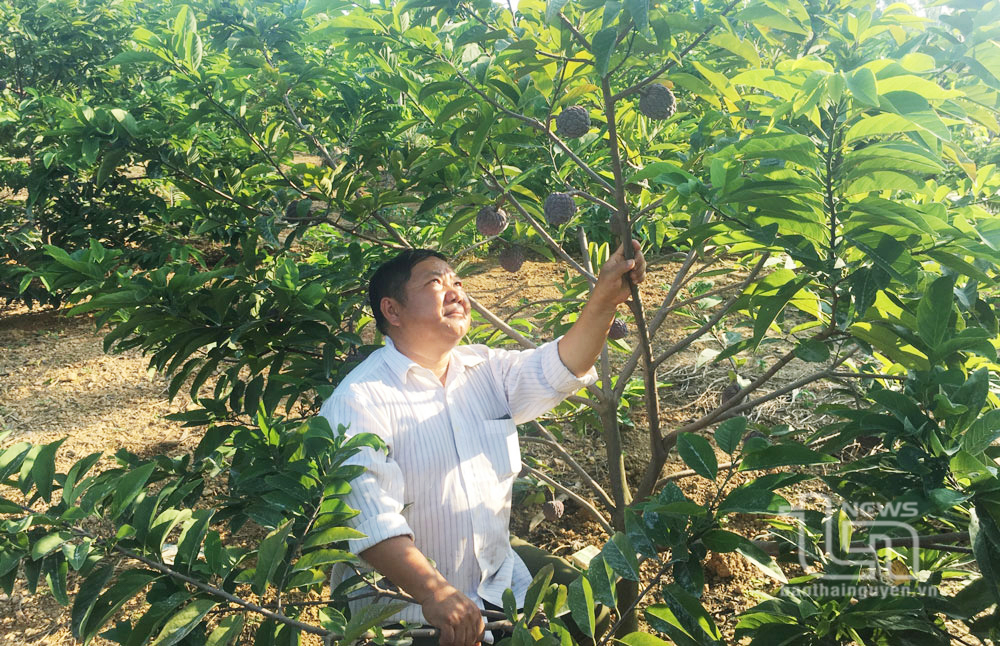 Đồng Hỷ nỗ lực giảm nghèo bền vững