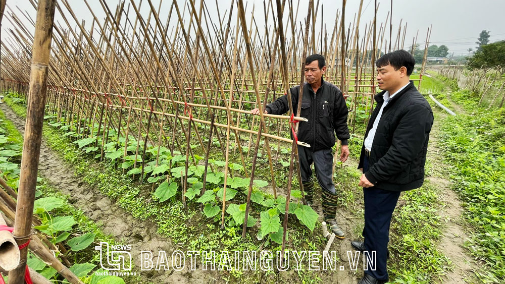 Về nơi đồng đất không “nghỉ”