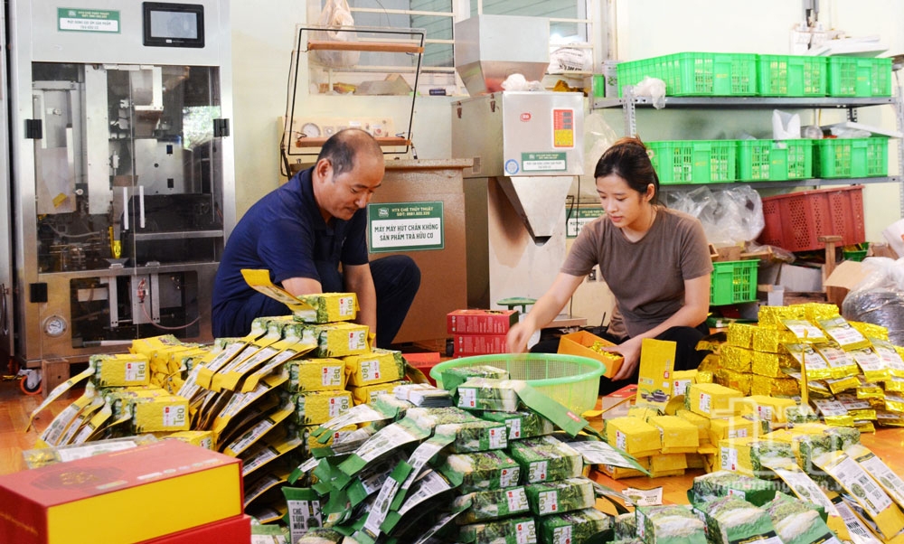 Sản phẩm công nghiệp nông thôn tiêu biểu: Khẳng định thương hiệu bằng chất lượng