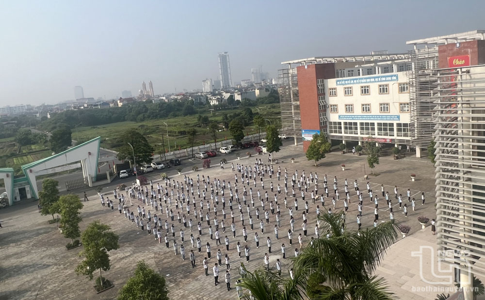 Gieo mầm ươm “ước mơ xanh”