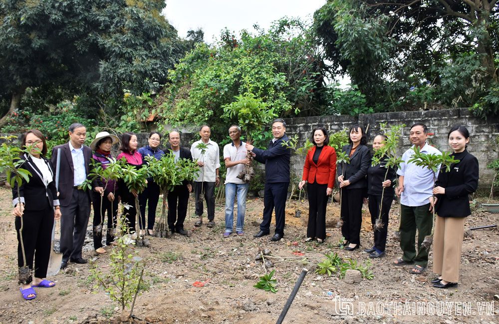 Những mô hình VAC tình nghĩa