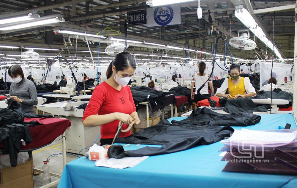 Quyết liệt các giải pháp thu ngân sách