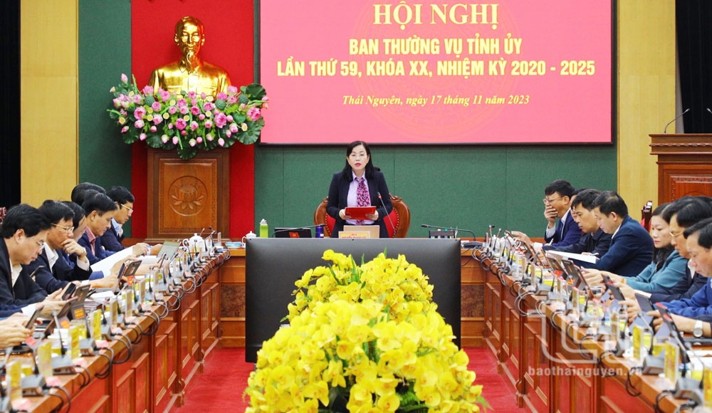 Ban Thường vụ Tỉnh ủy: Bàn thảo, cho ý kiến vào 36 nội dung