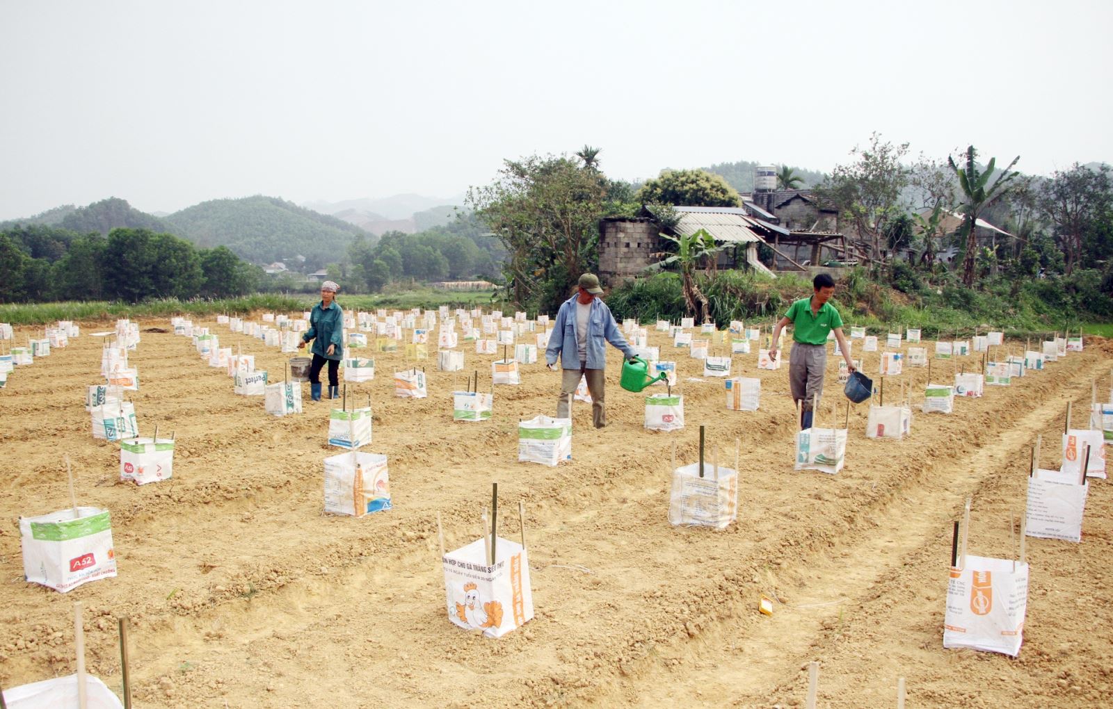 Những triệu phú đi lên từ phong trào nông dân sản xuất, kinh doanh giỏi