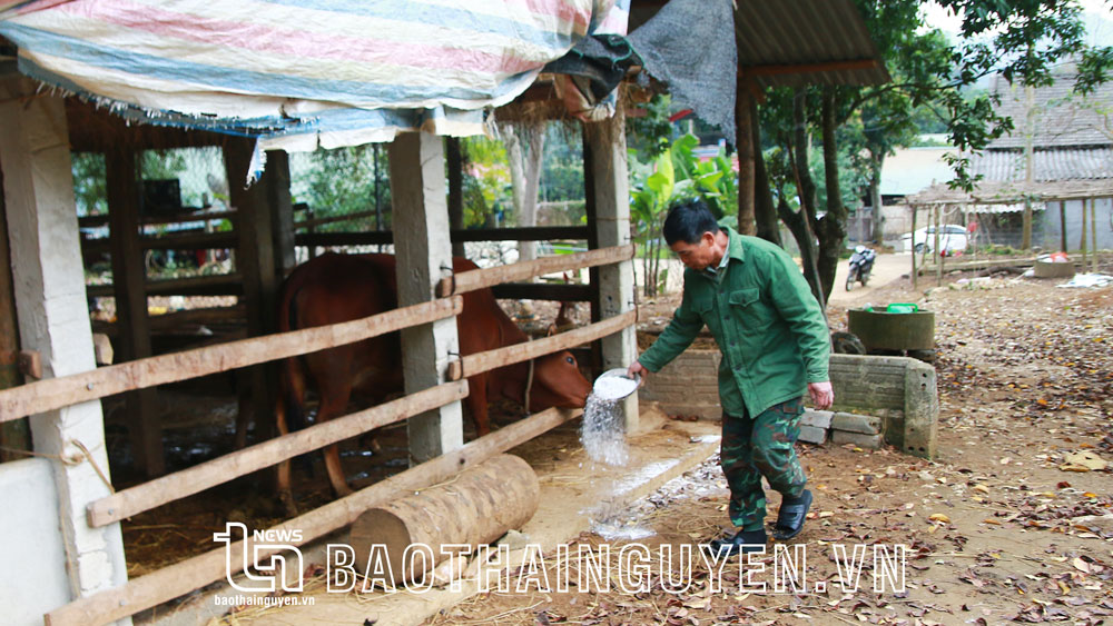 Bảo vệ đàn vật nuôi thời điểm giao mùa