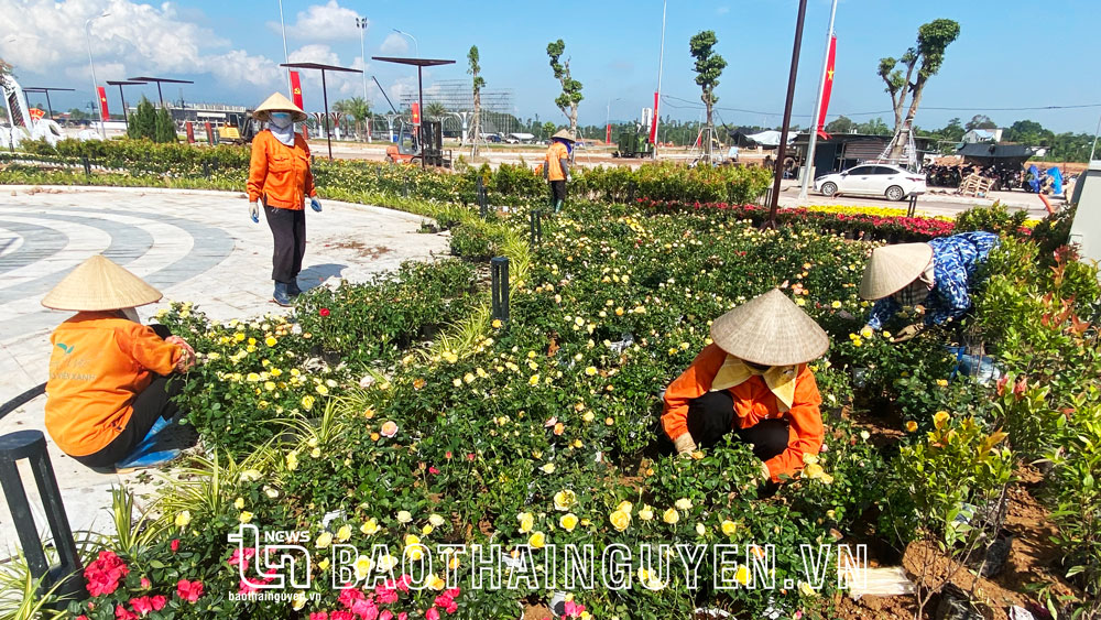 Giải phóng mặt bằng ở Nam Tiến: Vận động khéo léo, cách làm linh hoạt