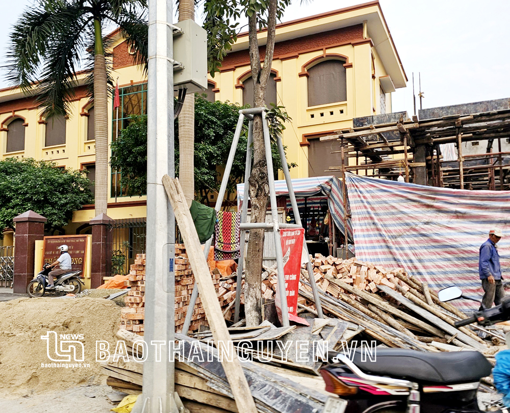 Bảo vệ cây xanh đô thị ở TP. Thái Nguyên: Cần cộng đồng trách nhiệm