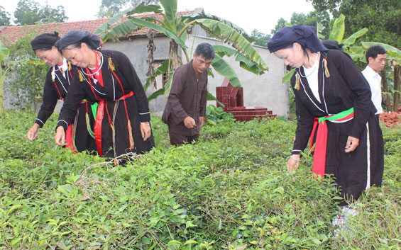 Chăm lo đời sống đồng bào các dân tộc thiểu số 