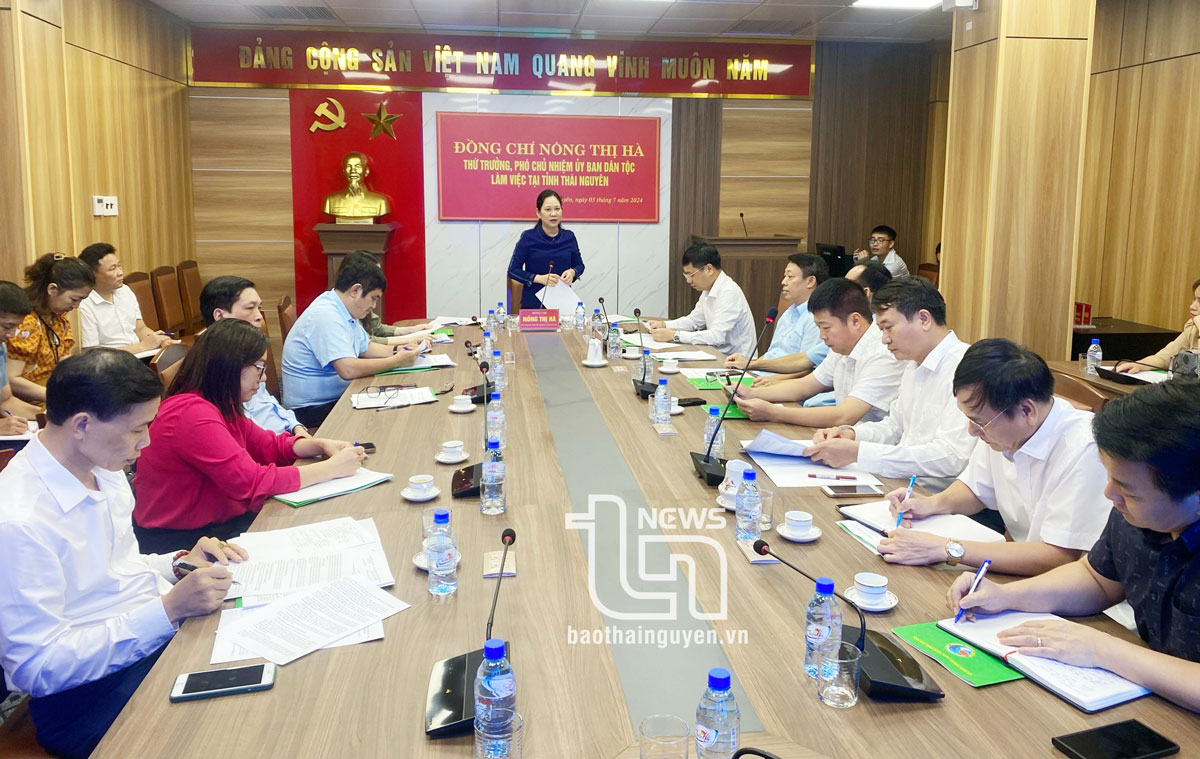 Thứ trưởng, Phó Chủ nhiệm Ủy ban Dân tộc làm việc tại Thái Nguyên