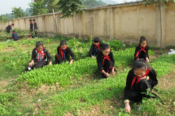 Đầu tư thoả đáng cho học sinh dân tộc thiểu số 