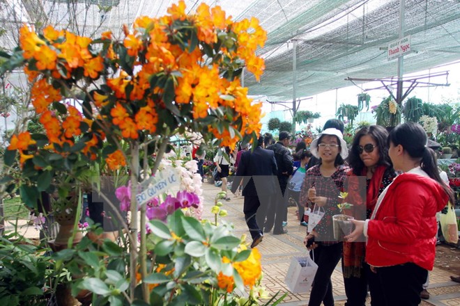 Festival hoa Đà Lạt 2015: 