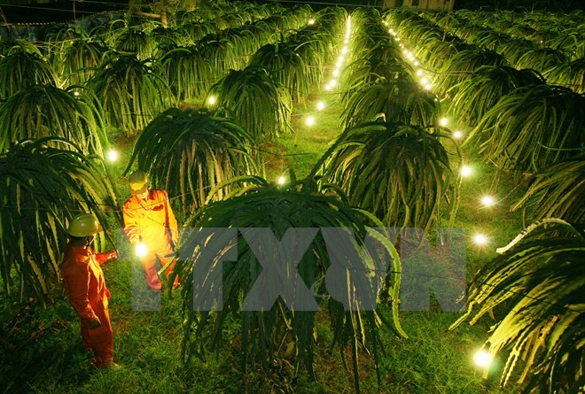 Miền Nam triển khai kế hoạch cấp điện mùa khô và cả năm 2016