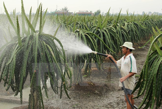 Quảng Ninh xây dựng thương hiệu cho 21 sản phẩm nông nghiệp