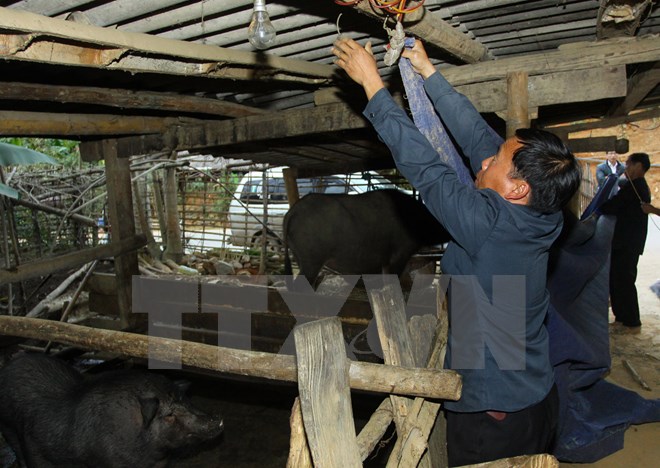 Không khí lạnh bao trùm các tỉnh miền Bắc, vùng núi có nơi rét hại