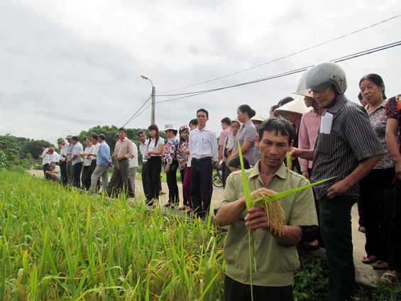 Vui mùa bội thu 
