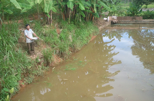 Nghị lực của một bệnh binh trong phát triển kinh tế