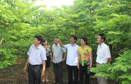 Xây dựng NTM: Nhìn từ các mô hình ở Quảng Ninh
