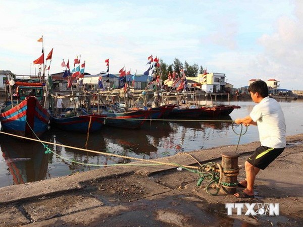 Xây dựng phương án ứng phó bão mạnh trước tháng 6/2015