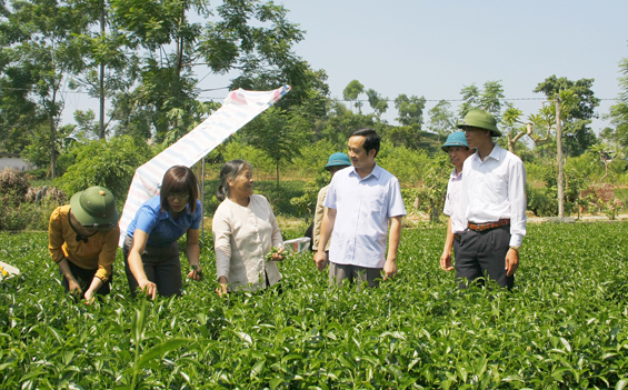 Xây dựng Phú Lương phát triển toàn diện, bền vững