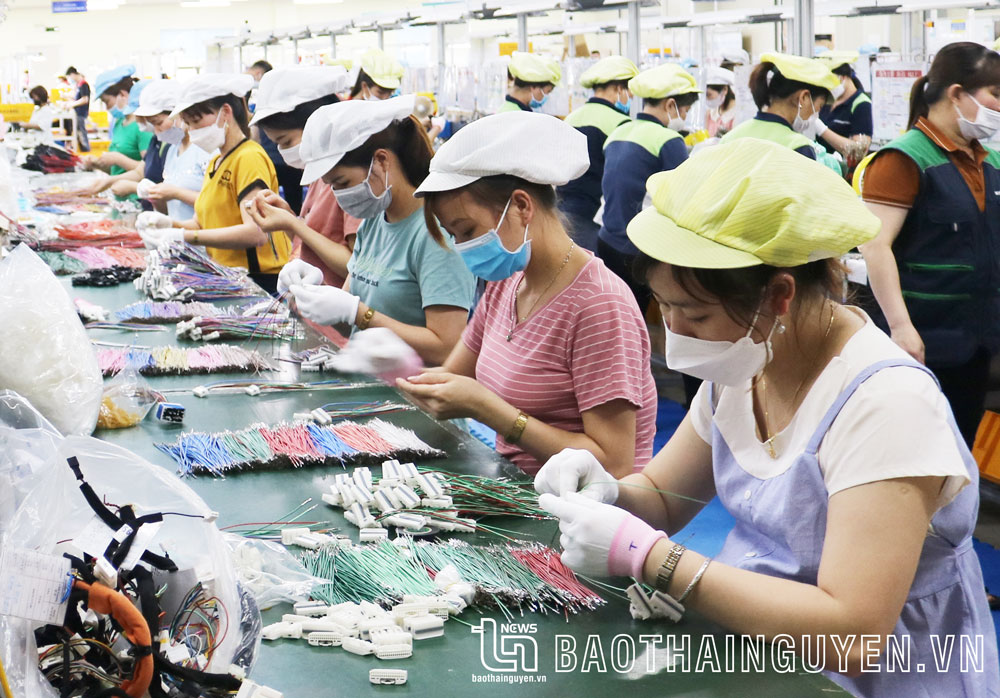 Tết và nỗi niềm người lao động