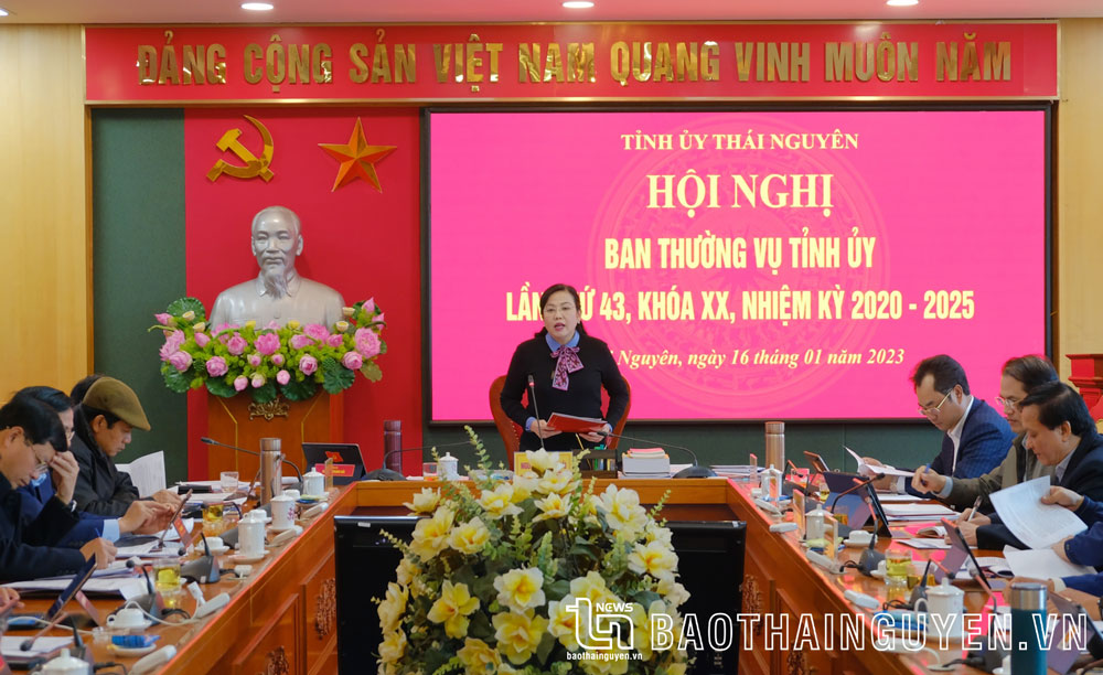 Ban Thường vụ Tỉnh uỷ cho ý kiến về công tác quy hoạch cán bộ