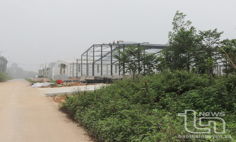 Nhiều dự án cụm công nghiệp vướng mặt bằng