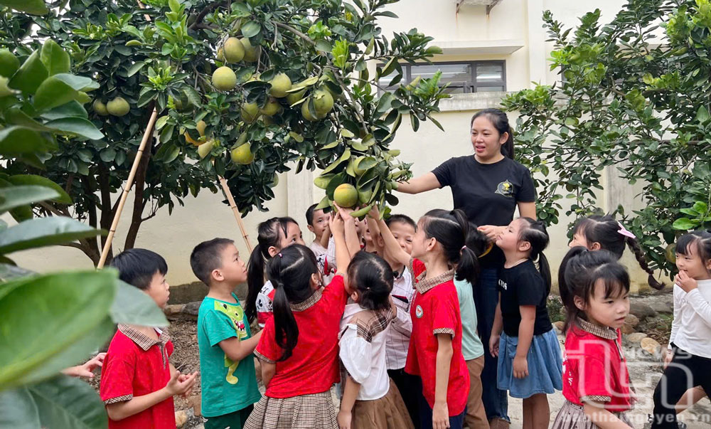 Hỗ trợ học phí đối với học sinh mầm non: Phụ huynh bớt “gánh nặng”