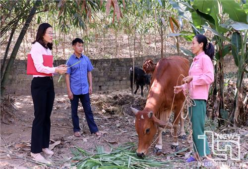 Giải ngân gần 12 tỷ đồng hỗ trợ tín dụng người chấp hành xong án phạt tù