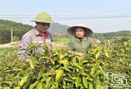 Khoa học công nghệ thúc đẩy phát triển kinh tế xanh, tuần hoàn